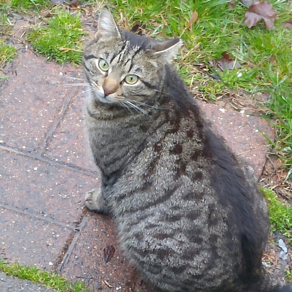 Meet your Posher, Anna - Picture 8 of 8